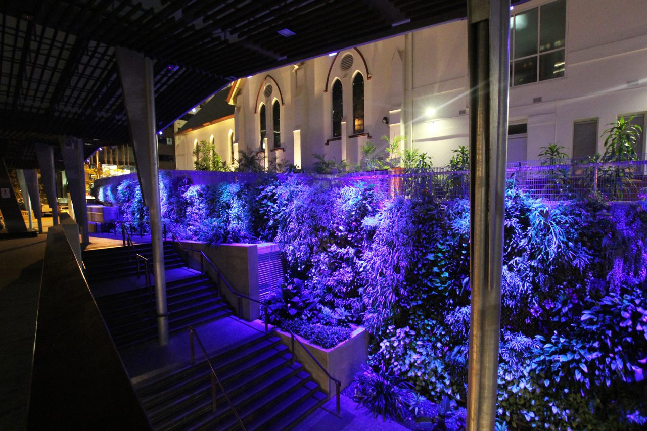 Blue and purple illumination along the living wall and stairs at King George Square.