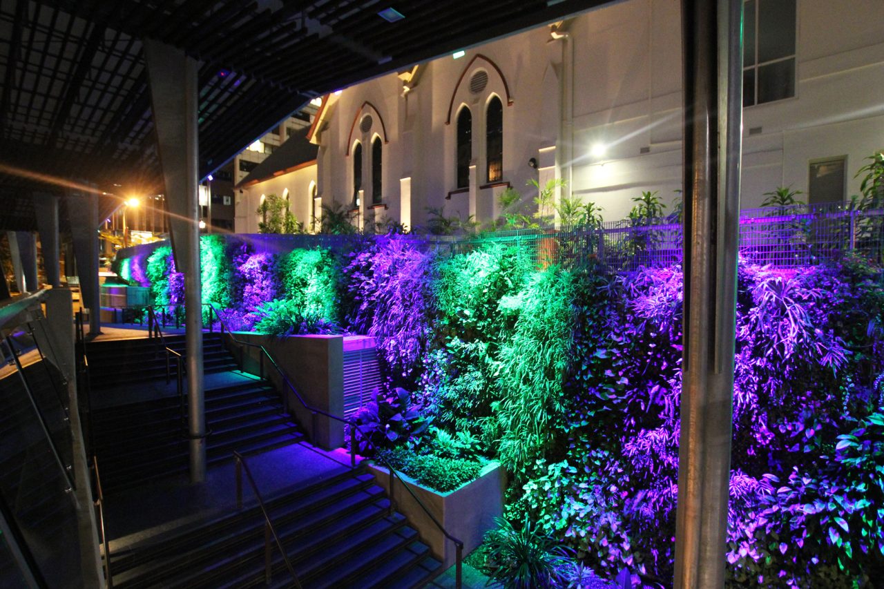 Coloured lighting along the planted wall beside the King George Square stairs.