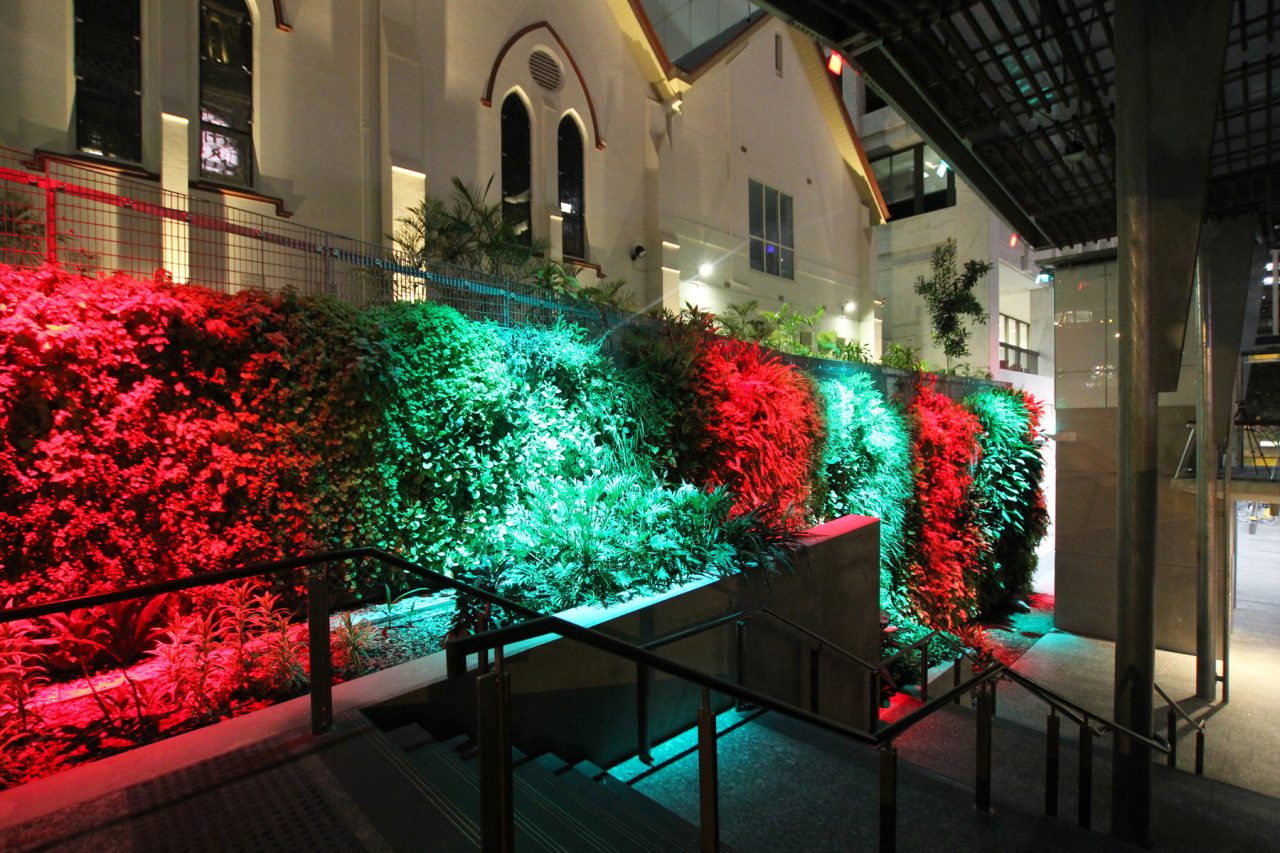 Alternating red and green light across Brisbane's living green wall.