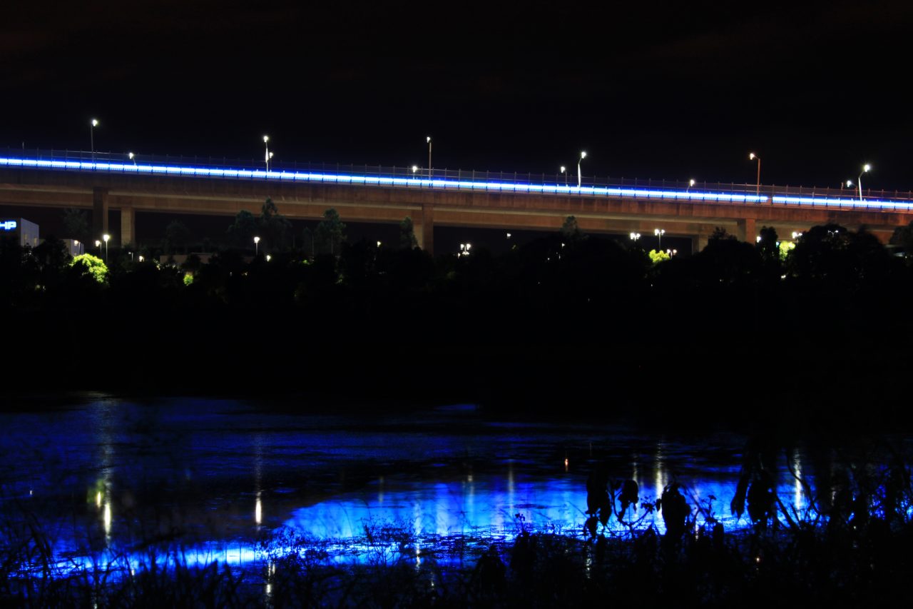 Sir Leo Hielscher Bridges viewed across the riverbank, with blue lighting beneath the bridge.