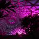 Mt Cootha Botanical Gardens Indoor LED Architectural Building Lighting