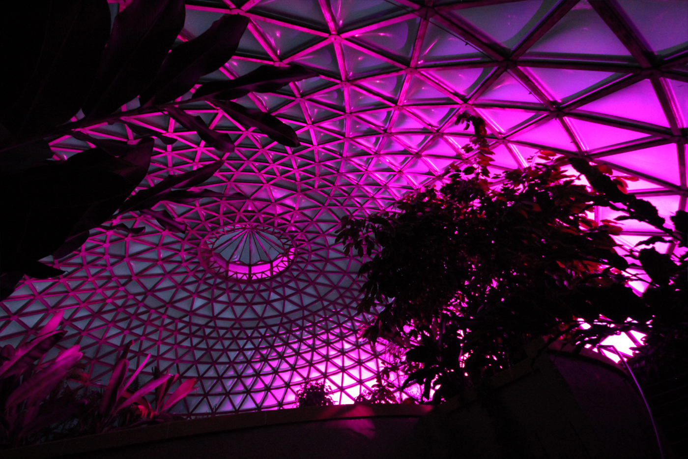 Mt Cootha Botanical Gardens Indoor LED Architectural Building Lighting