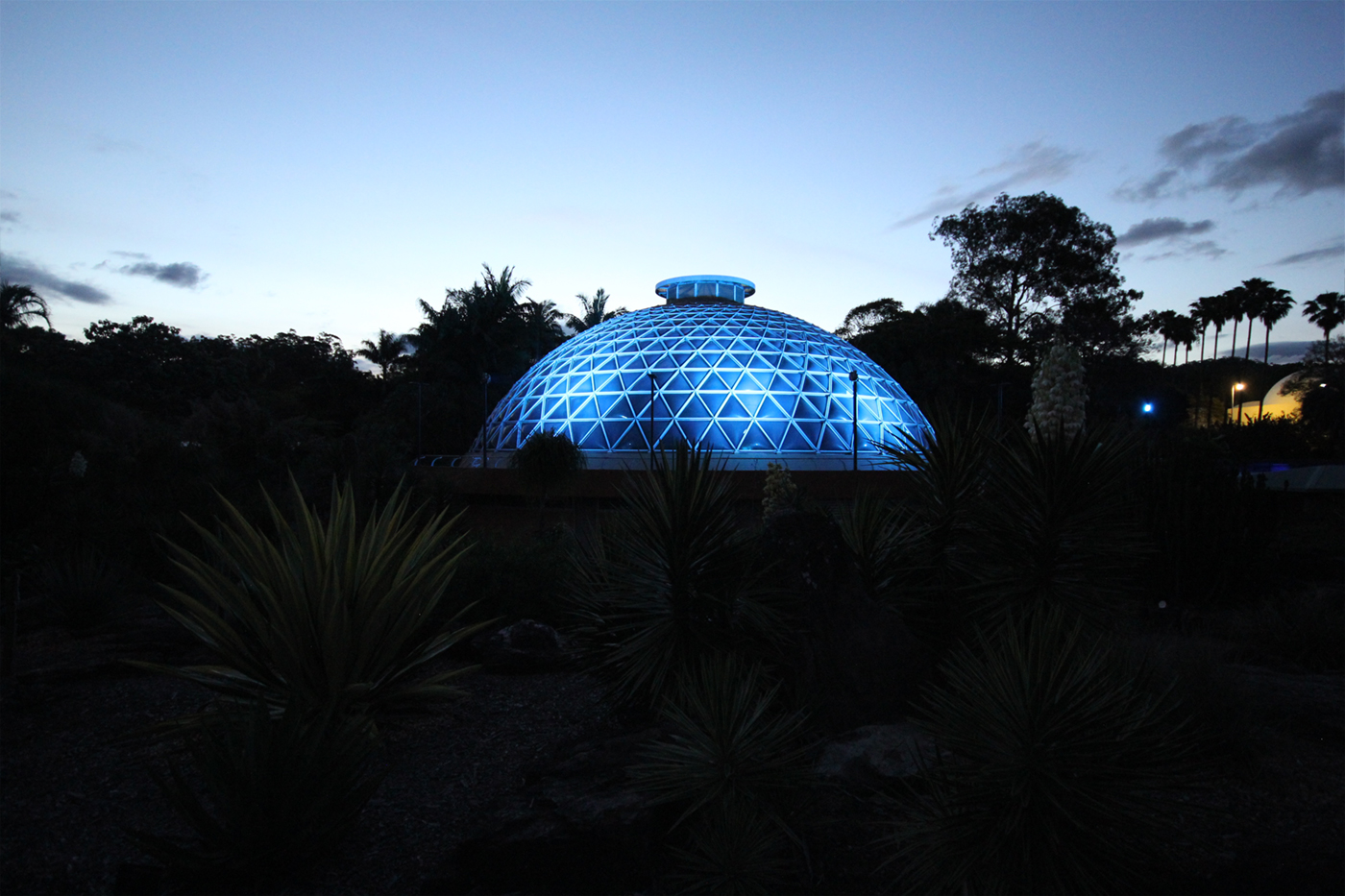 Mt Cootha Botanical Gardens Indoor LED Architectural Building Lighting