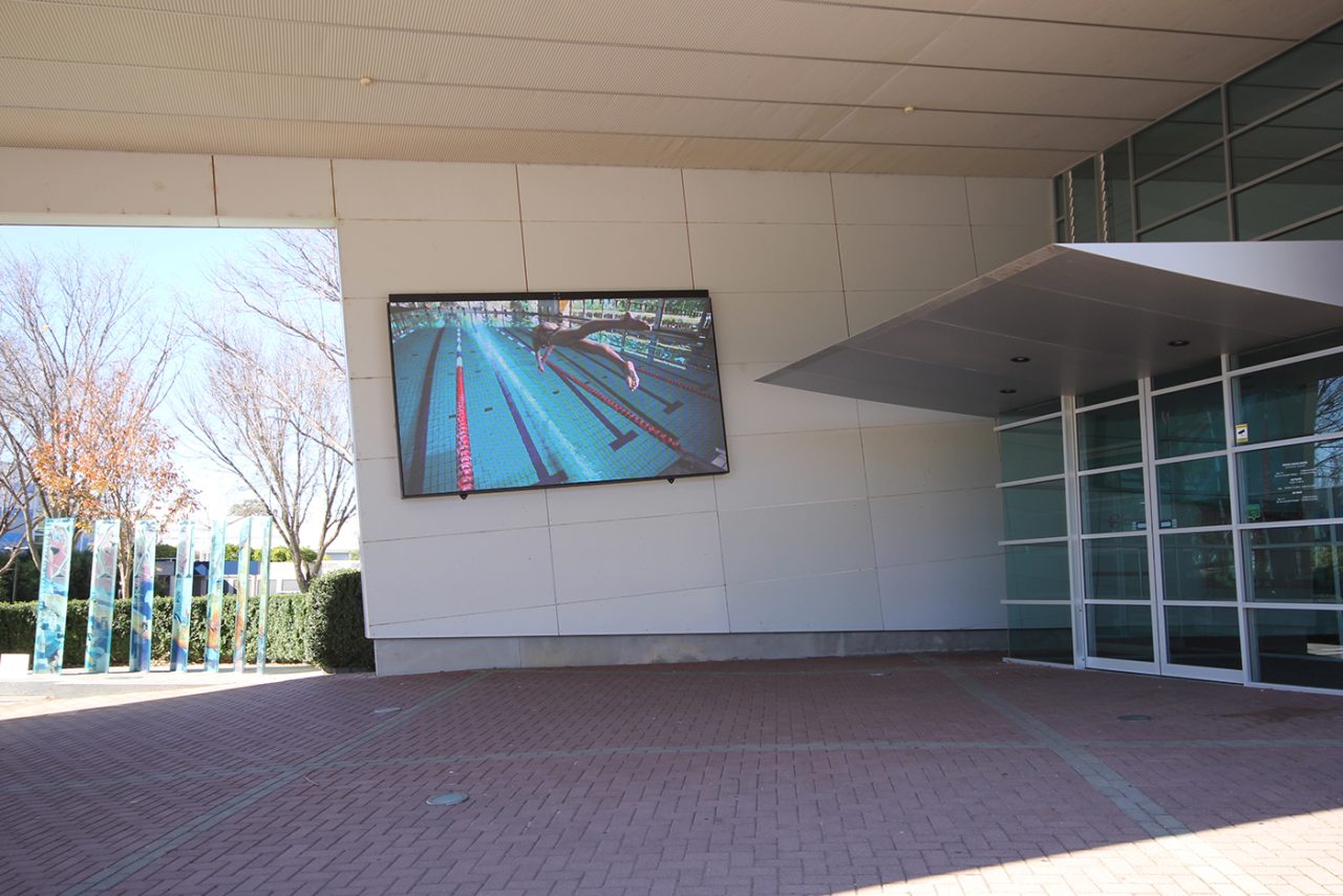 Swimming-pool footage on the screen beside the AIS visitor centre doors.
