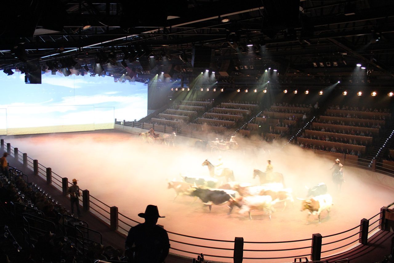 Horses move through haze in the Australian Outback Spectacular arena.