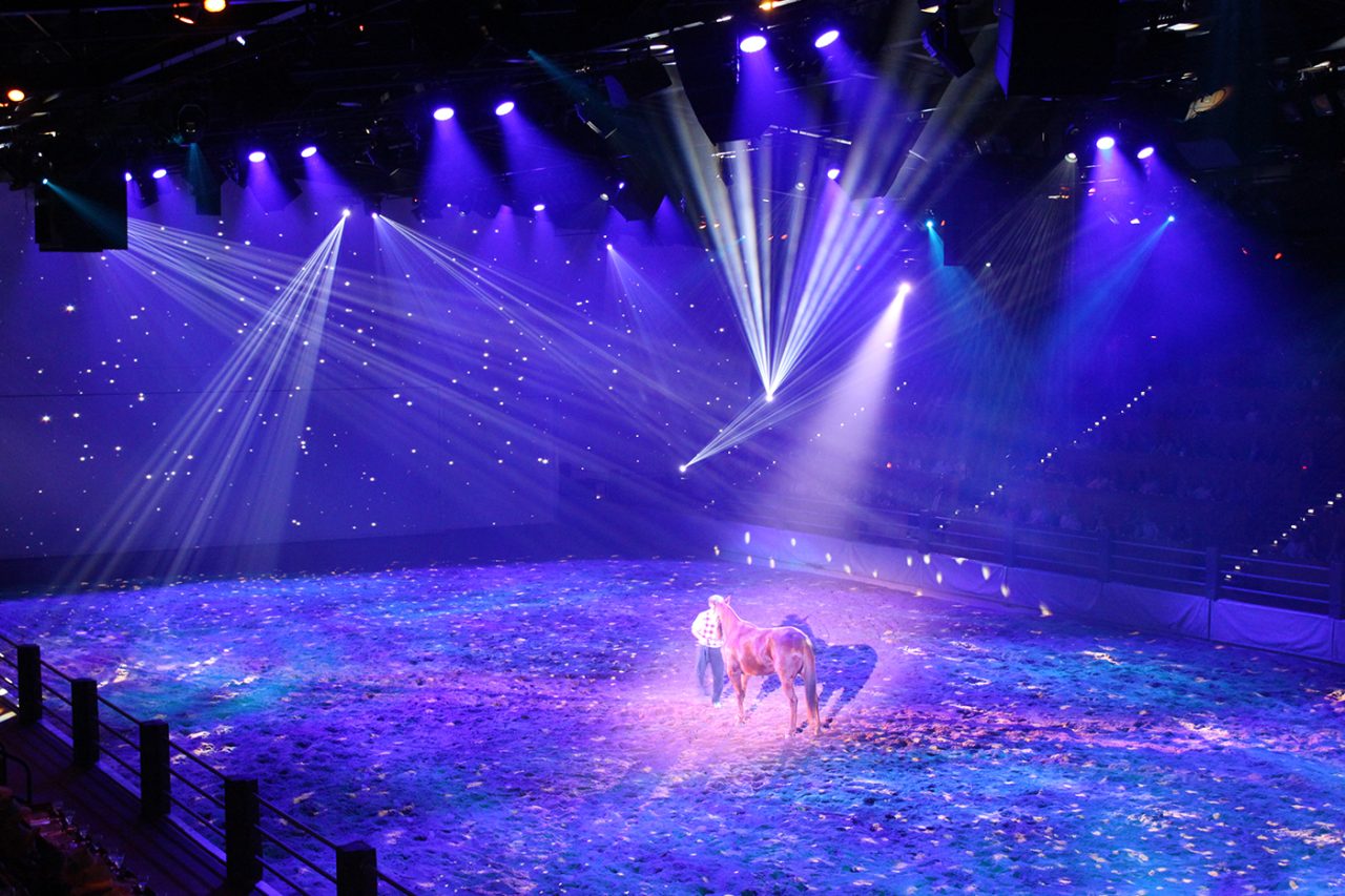 White beams fan above riders in the blue-lit Australian Outback Spectacular arena.