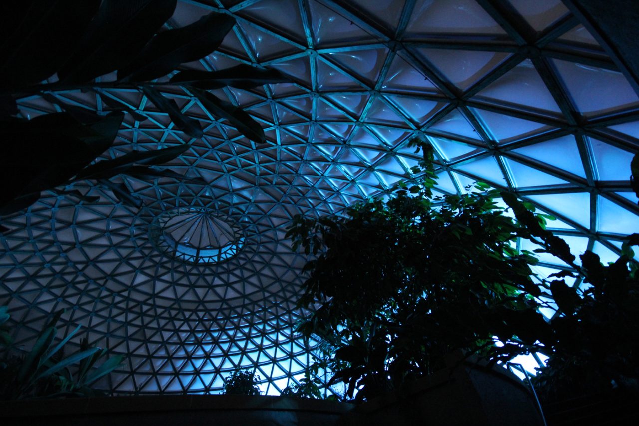 Blue lighting across the tropical dome's geometric roof at Mount Coot-tha Botanic Gardens.