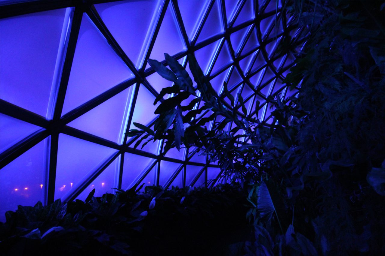Close view of blue-lit roof panels and silhouetted foliage inside the tropical dome.