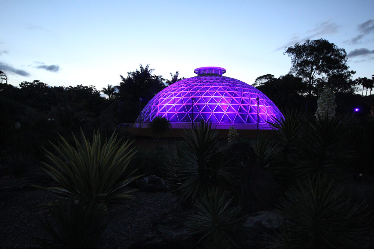 The tropical dome at Mount Coot-tha Botanic Gardens glowing purple at dusk.