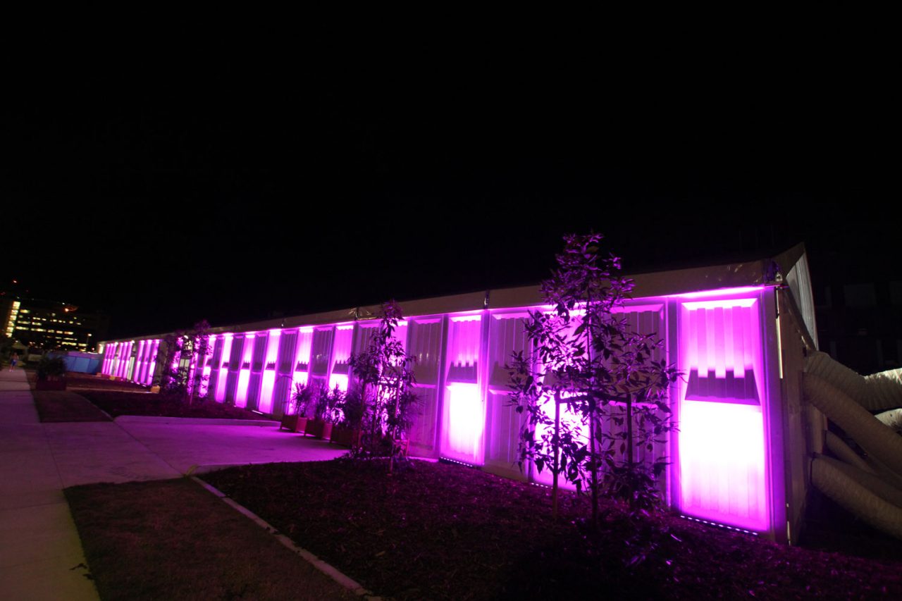 Purple lighting along the outdoor walkway at the 2018 Commonwealth Games Village.