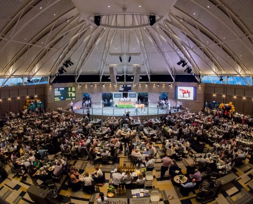 Inglis Riverside Stables Vuepix LED Screens Digital Display