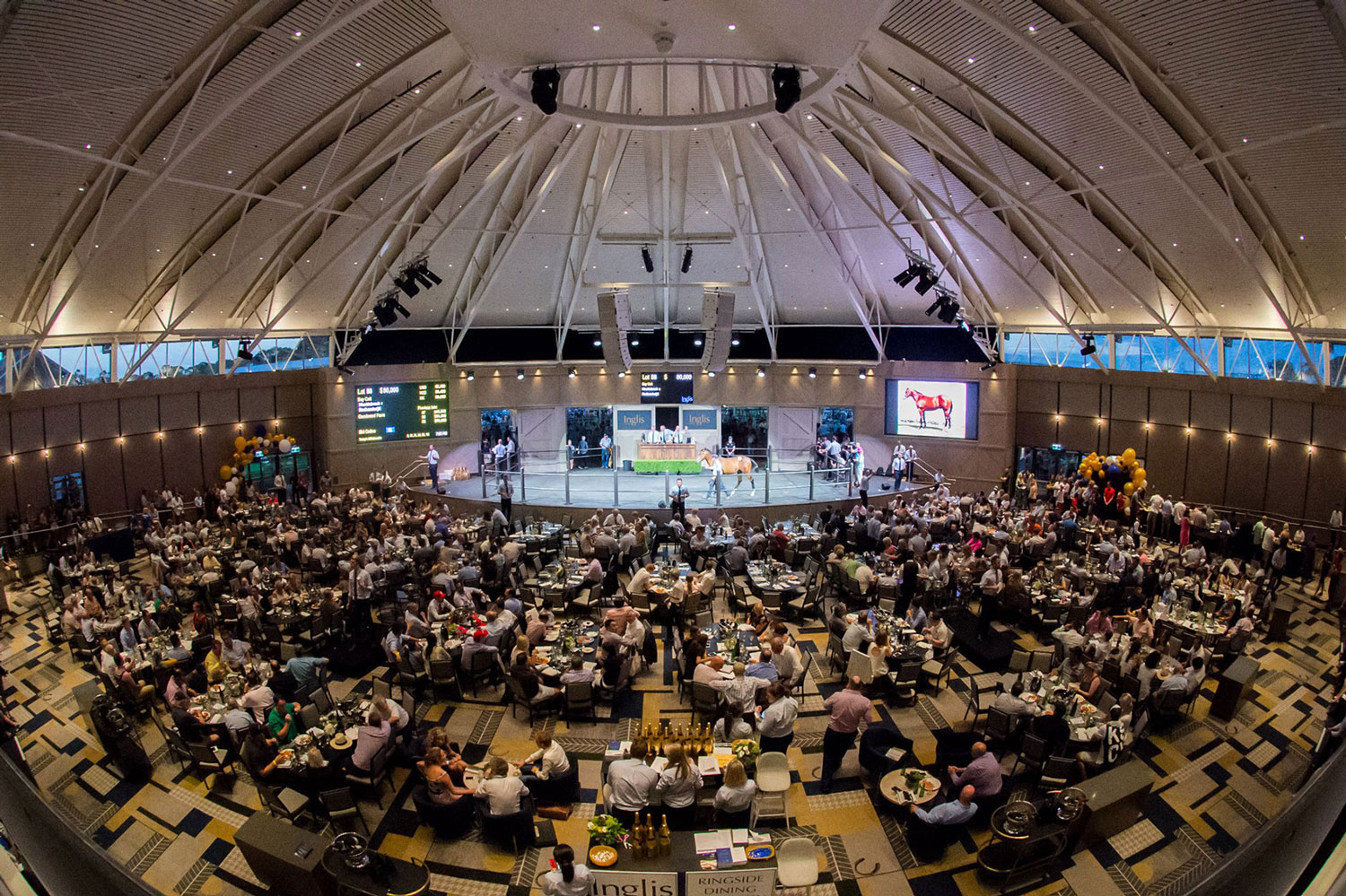Inglis Riverside Stables Vuepix LED Screens Digital Display
