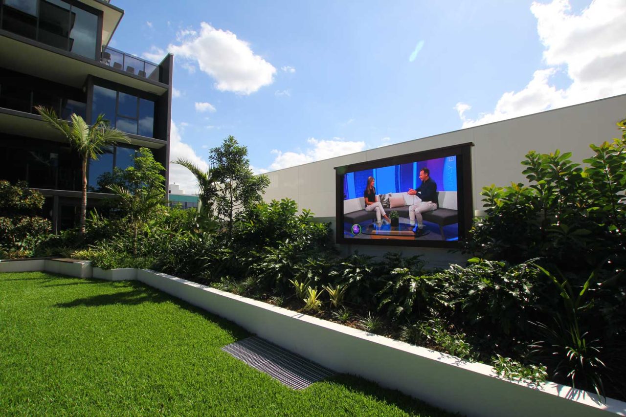 Outdoor video screen above planting in the Newstead North residential courtyard.