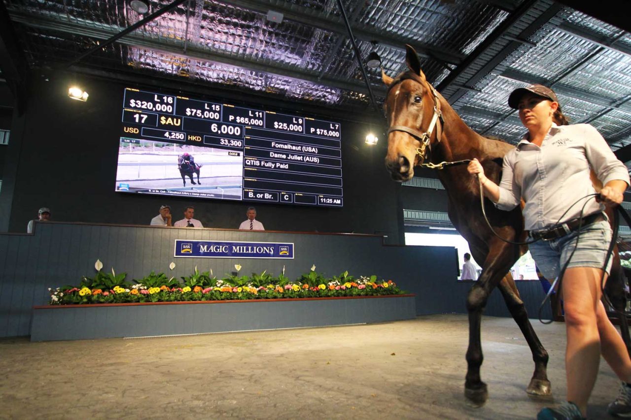 Handler leads a horse past the large digital auction display at Magic Millions.