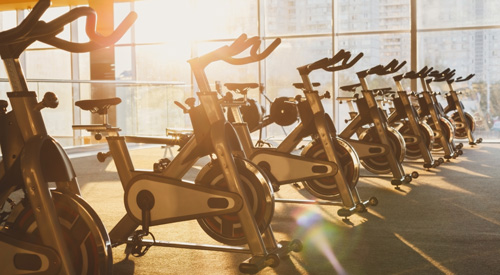 Rows of exercise bikes in a sunlit gym.