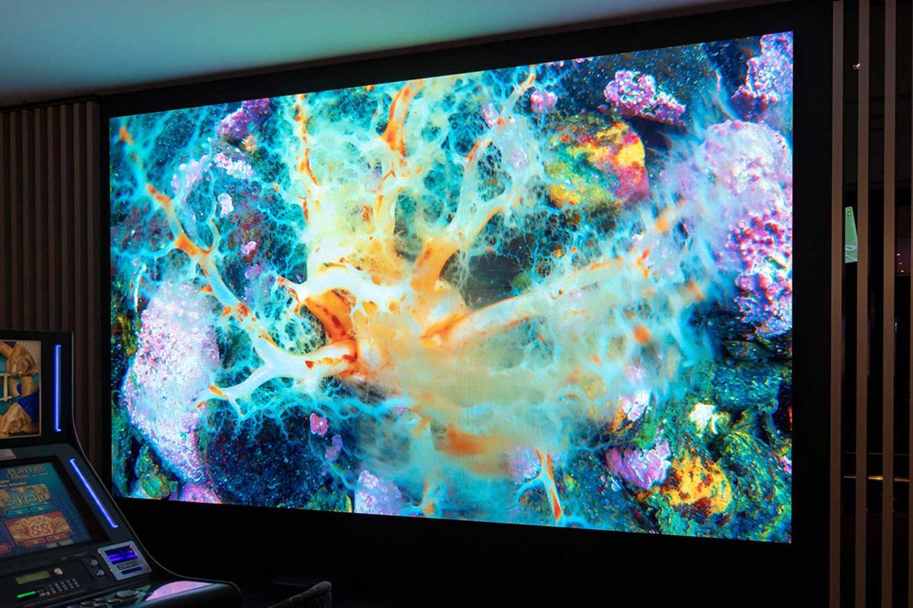Digital wall at Club Central Hurstville showing colourful imagery beside the gaming machines.