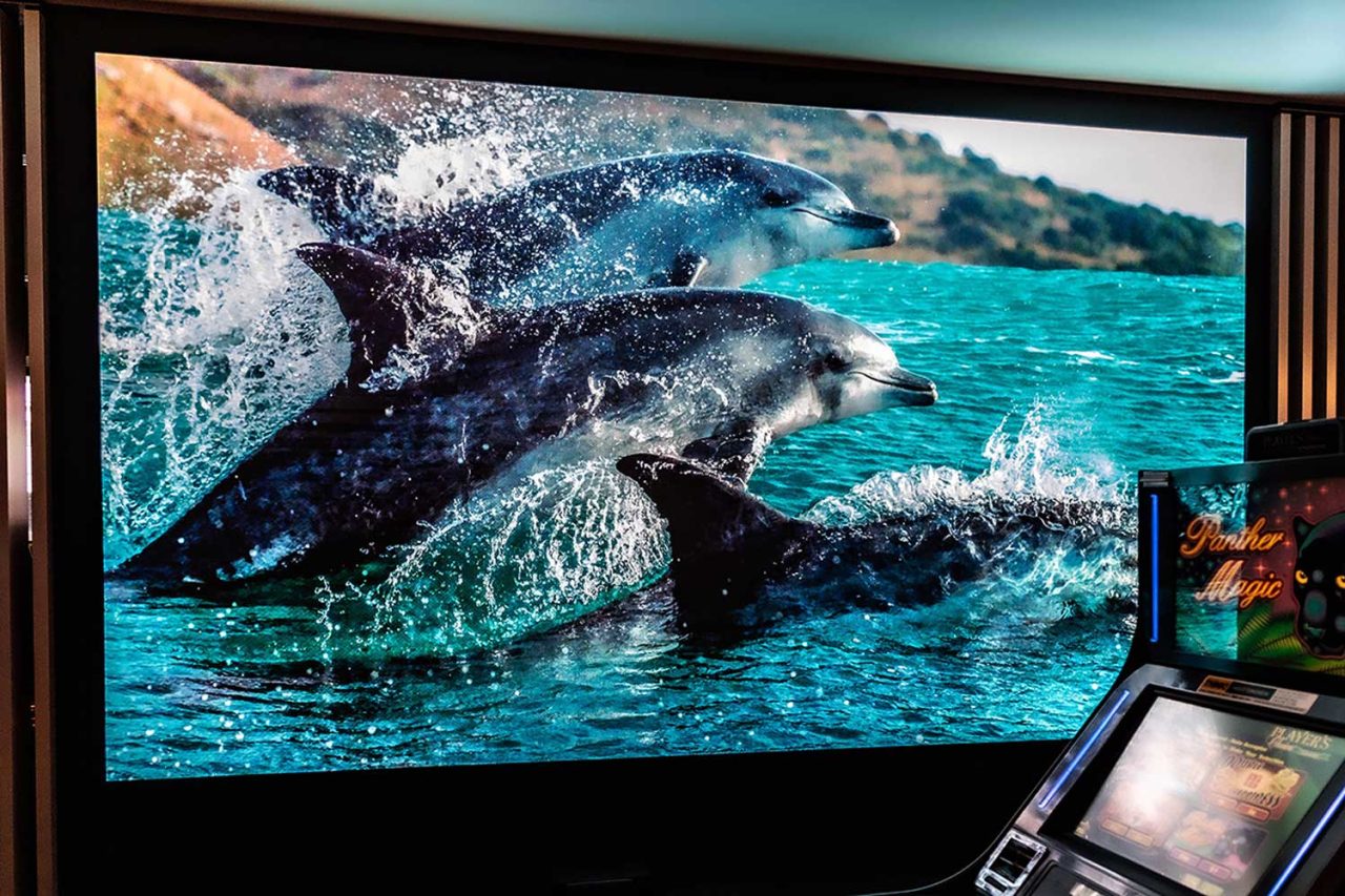Digital wall at Club Central Hurstville showing dolphins leaping from the water.
