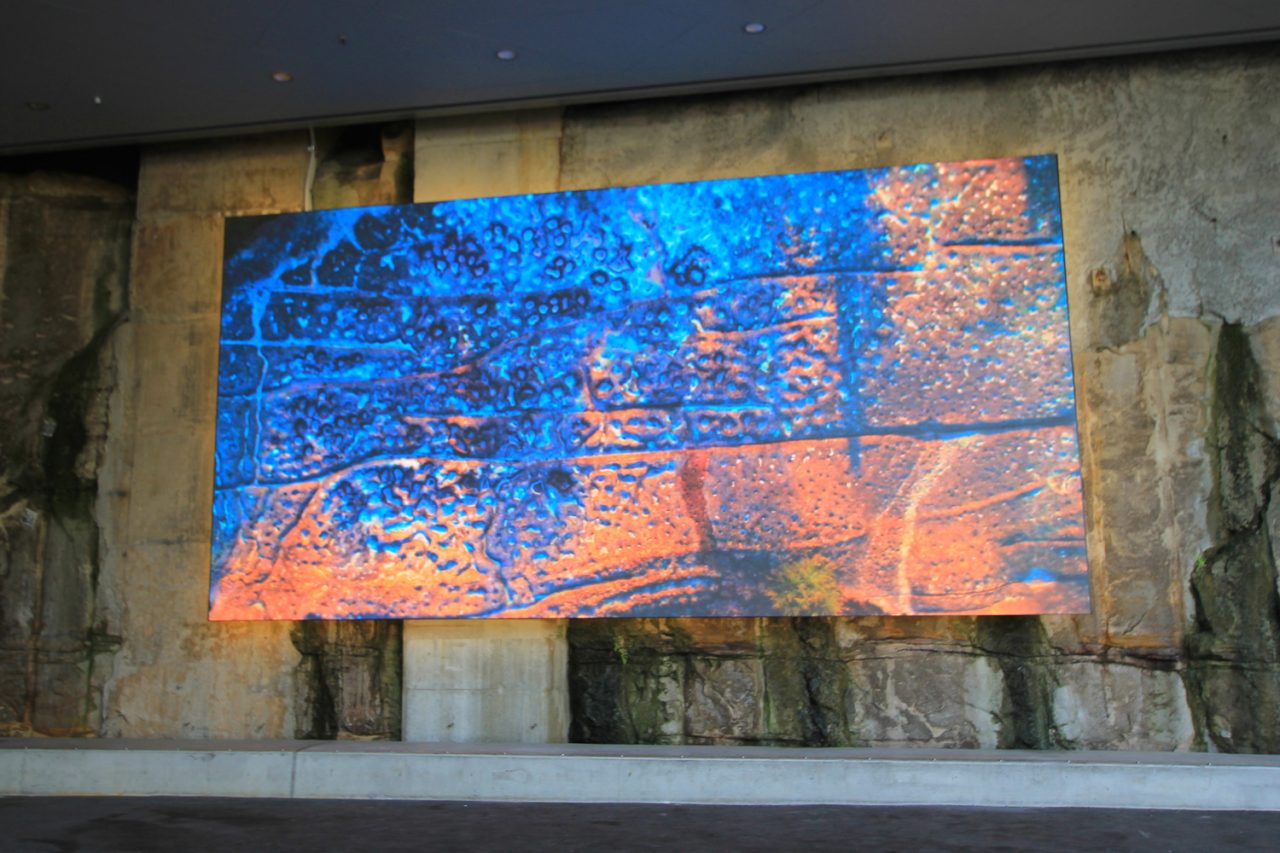LED screen at Barangaroo Reserve showing a textured blue and orange image.