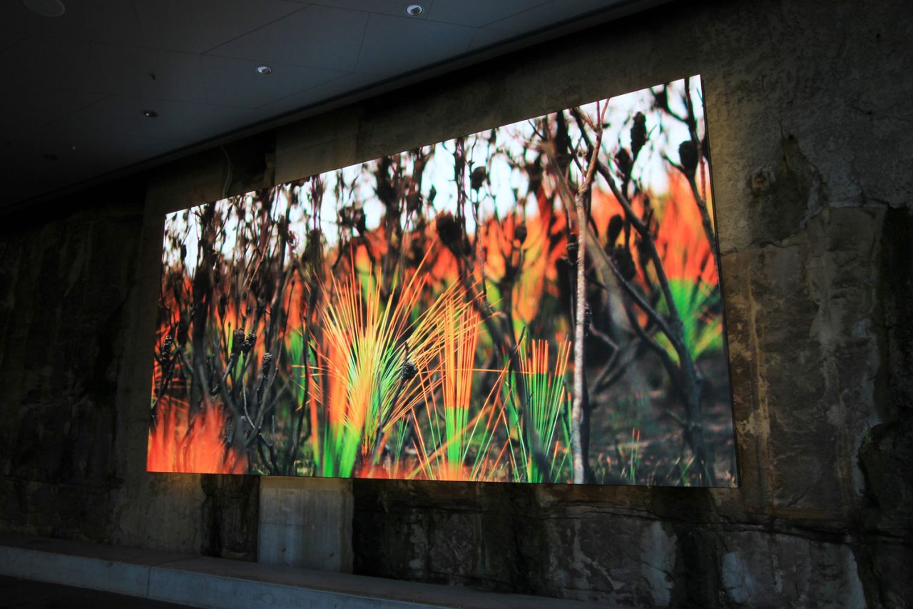 Angled view of the Barangaroo Reserve LED screen displaying colourful artwork.