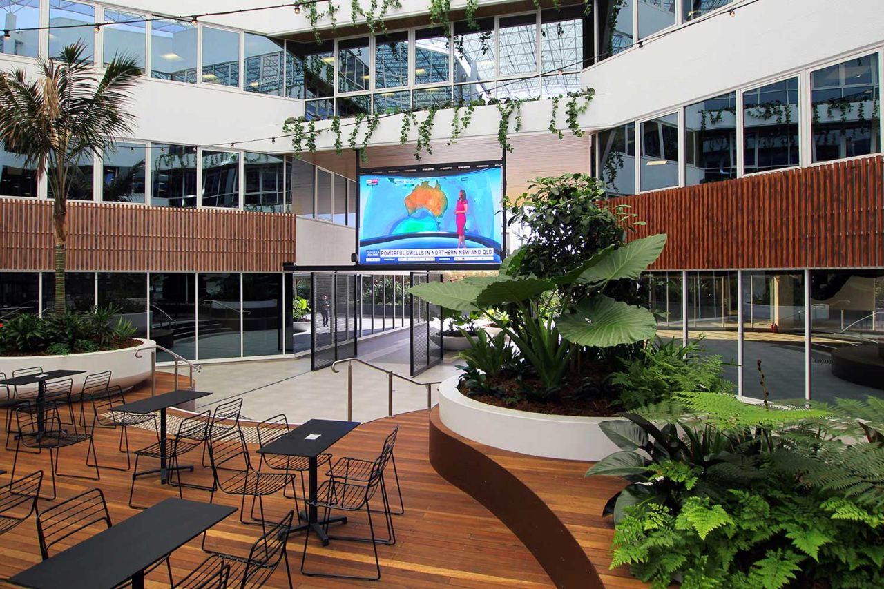 Suspended LED screen above the landscaped seating area at 339 Coronation Drive, Milton.