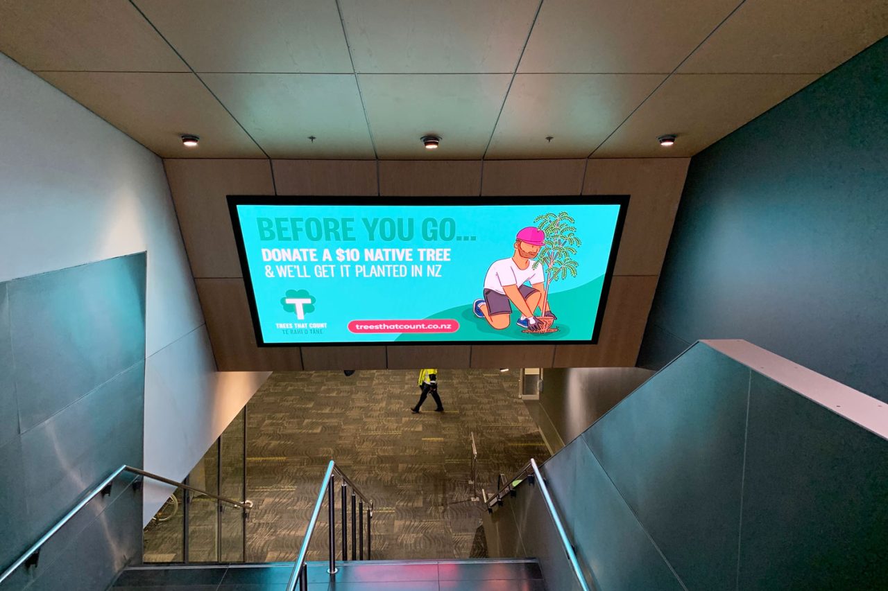 Wellington Airport escalator with a large overhead display showing a turquoise advertisement.