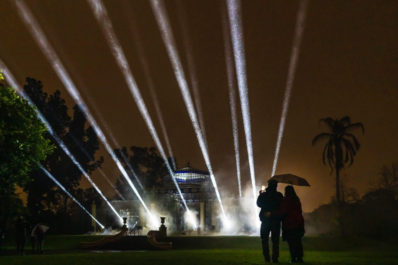 Visitors watch white beams spreading through the trees at Light Cycles.