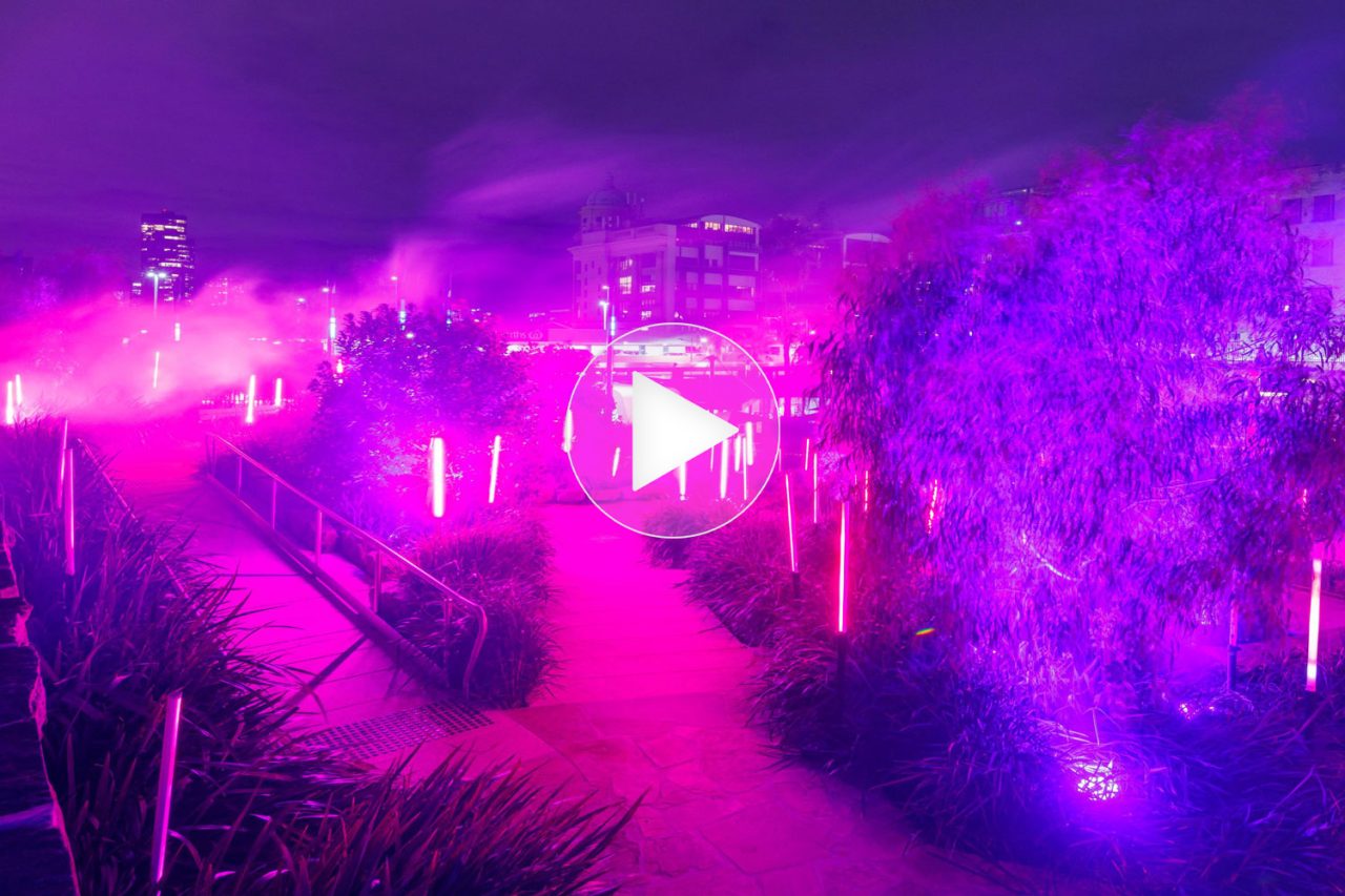 Purple-lit Now Breathe installation with an overlaid play symbol.