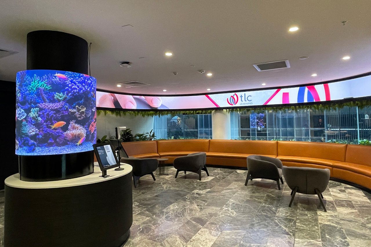 Aquarium imagery on a cylindrical display beside the seating at TLC Aged Care reception.