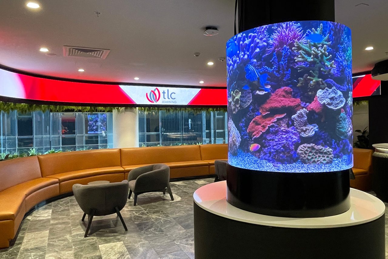 Close view of the cylindrical aquarium display beside curved reception seating at TLC Aged Care.