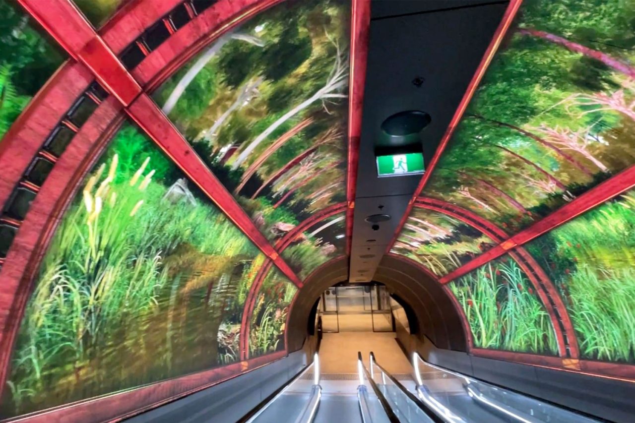 Green foliage imagery surrounds the escalator in South Eveleigh's Foundry Tunnel.