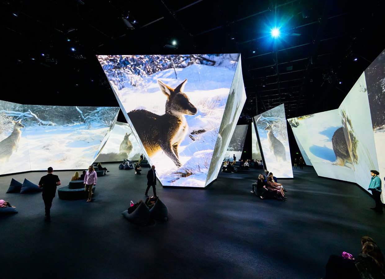 Visitors surrounded by large angled projection surfaces showing nature imagery.